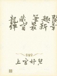 龙藏 笔趣阁无弹窗最新章节封面