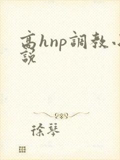 高hnp调教小说封面