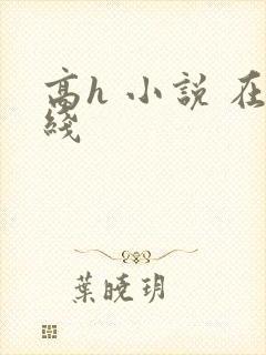 高h 小说 在线