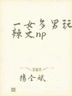 一女多男玩弄h辣文np