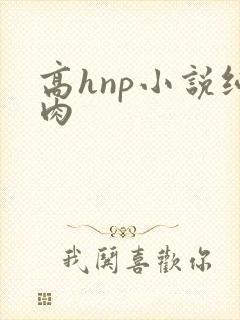 高hnp小说纯肉