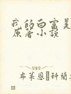 我的白富美老婆原著小说