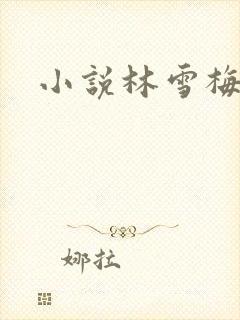 小说林雪梅