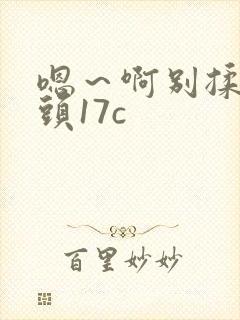 嗯～啊别揉我奶头17c封面