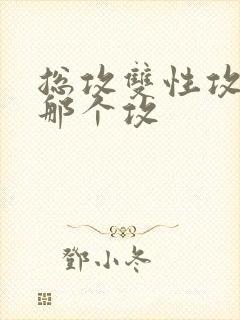 总攻双性攻玩坏那个攻