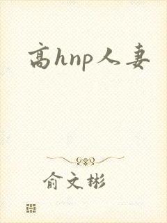 高hnp人妻