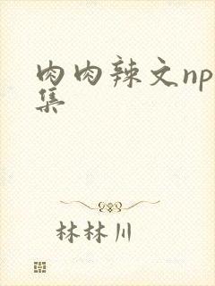 肉肉辣文np合集