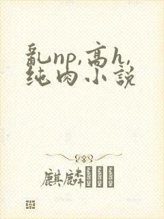 乱np,高h,纯肉小说