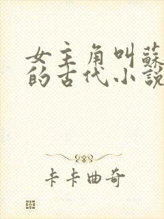 女主角叫苏明月的古代小说