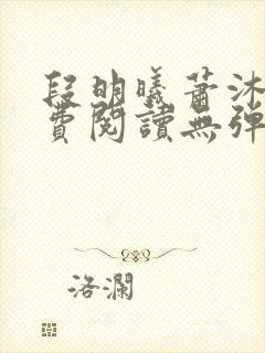 段明曦萧沐宸免费阅读无弹窗