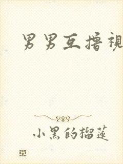 男男互撸视频