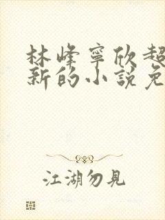 林峰宁欣超前更新的小说免费阅读