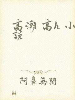 高潮 高h 小说