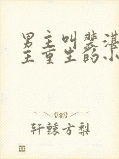 男主叫裴湛,女主重生的小说