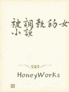 被调教的女白领小说封面