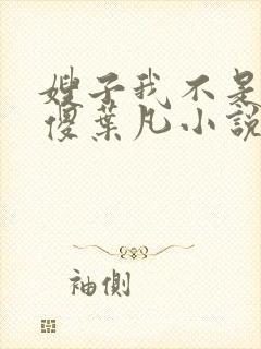 嫂子我不是真的傻叶凡小说免费阅读封面