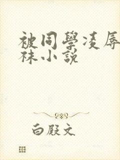 被同学凌辱的丝袜小说