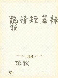 艳情短篇辣文小说