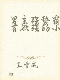 男主强势霸道占有欲强的小说