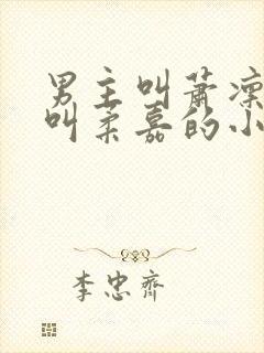 男主叫萧凛女主叫柔嘉的小说