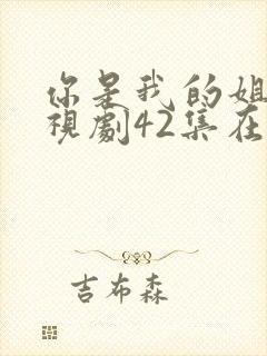 你是我的姐妹电视剧42集在线播放