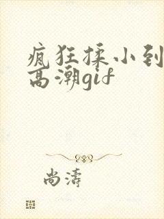 疯狂揉小到失禁高潮gif