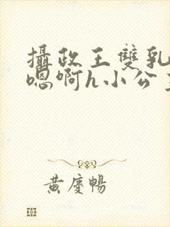 摄政王双乳高耸嗯啊h小公主小说