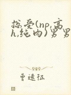总受(np,高h,纯肉)男男封面