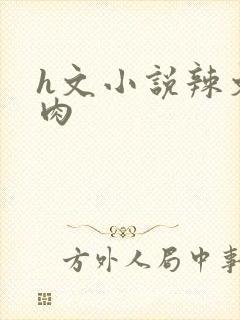 h文小说辣文肉肉封面