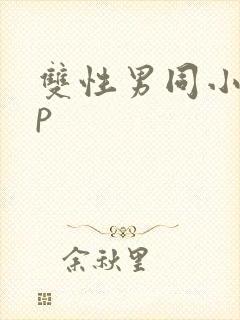 双性男同小说np