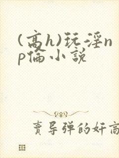 (高h)玩淫np伦小说