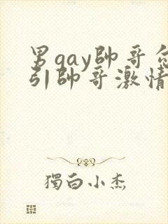 男gay帅哥勾引帅哥激情视频