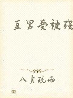 直男受被强制爱封面