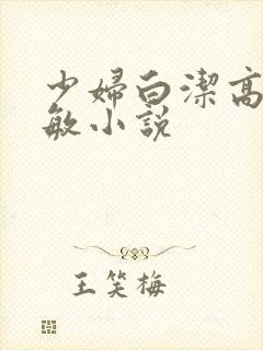 少妇白洁高义张敏小说
