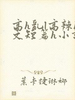 高h乱l高辣h文短篇h小说