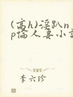 (高h)淫趴np伦人妻小说
