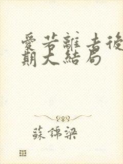 爱若离去后会无期大结局封面