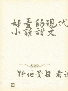 好看的现代言情小说甜文封面