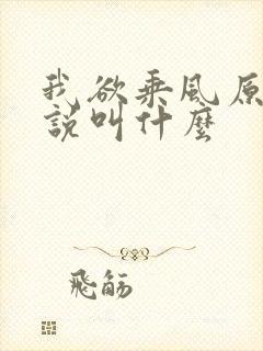 我欲乘风原著小说叫什么