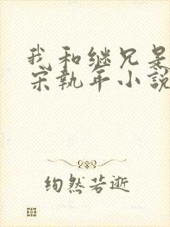 我和继兄是纯恨宋执年小说封面