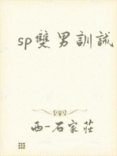 sp双男训诫