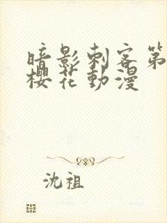 暗影刺客第4季樱花动漫封面