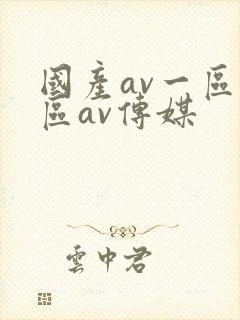 国产av一区二区av传媒