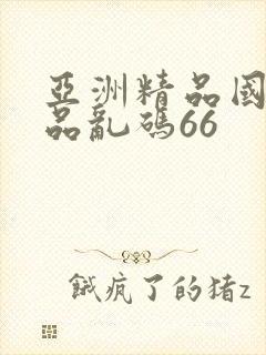 亚洲精品国产精品乱码66