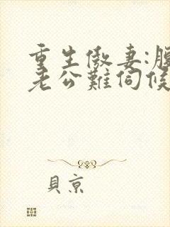 重生傲妻:腹黑老公难伺候小说