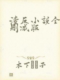 渣反小说全文未删减版封面