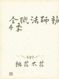 全职法师动漫第4季