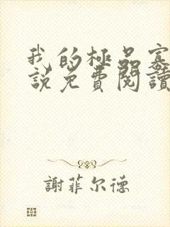 我的极品寡嫂小说免费阅读