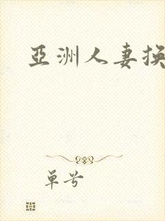 亚洲人妻换丝袜