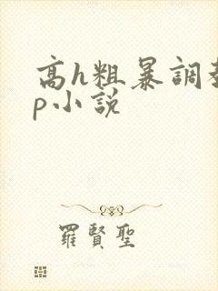 高h粗暴调教np小说封面